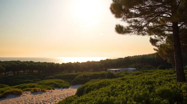 10 raisons de choisir le camping Le Lagon à Argelès-sur-Mer
