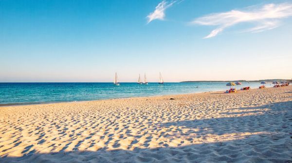 Découvrez les meilleures destinations au camping La Mer Blanche
